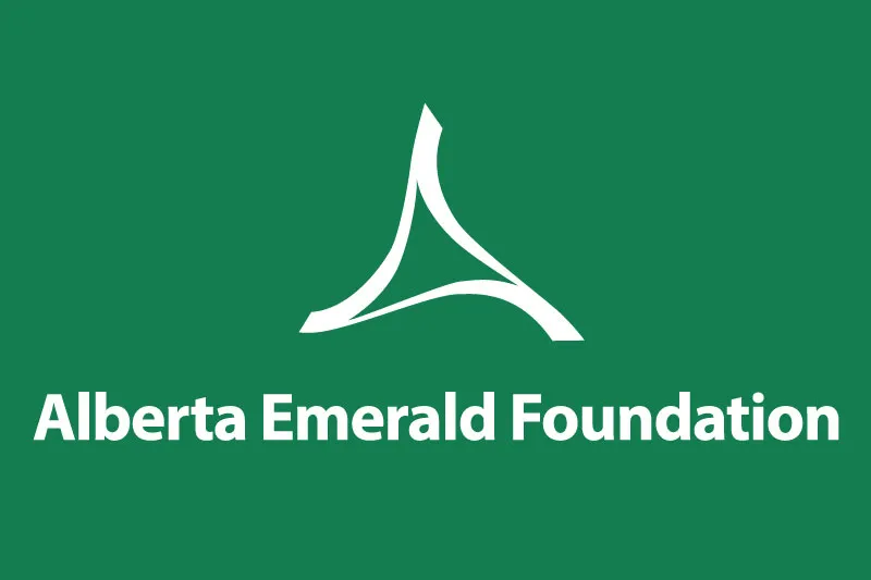 2010 Emerald Award
